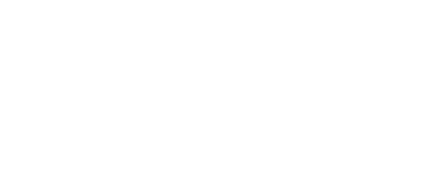 DT Specialized Services logo